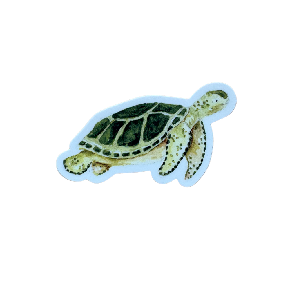 Sea Turtle Sticker