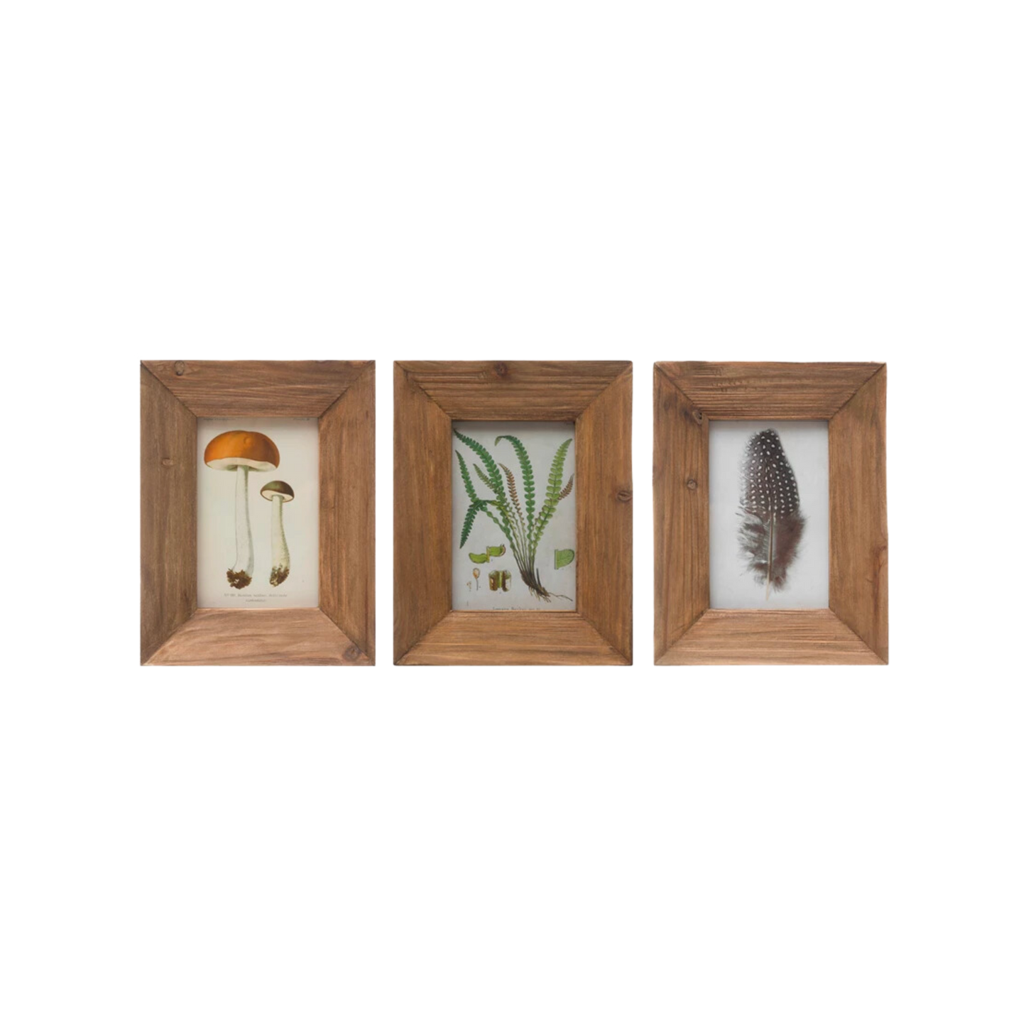Fir Wood Photo Frame