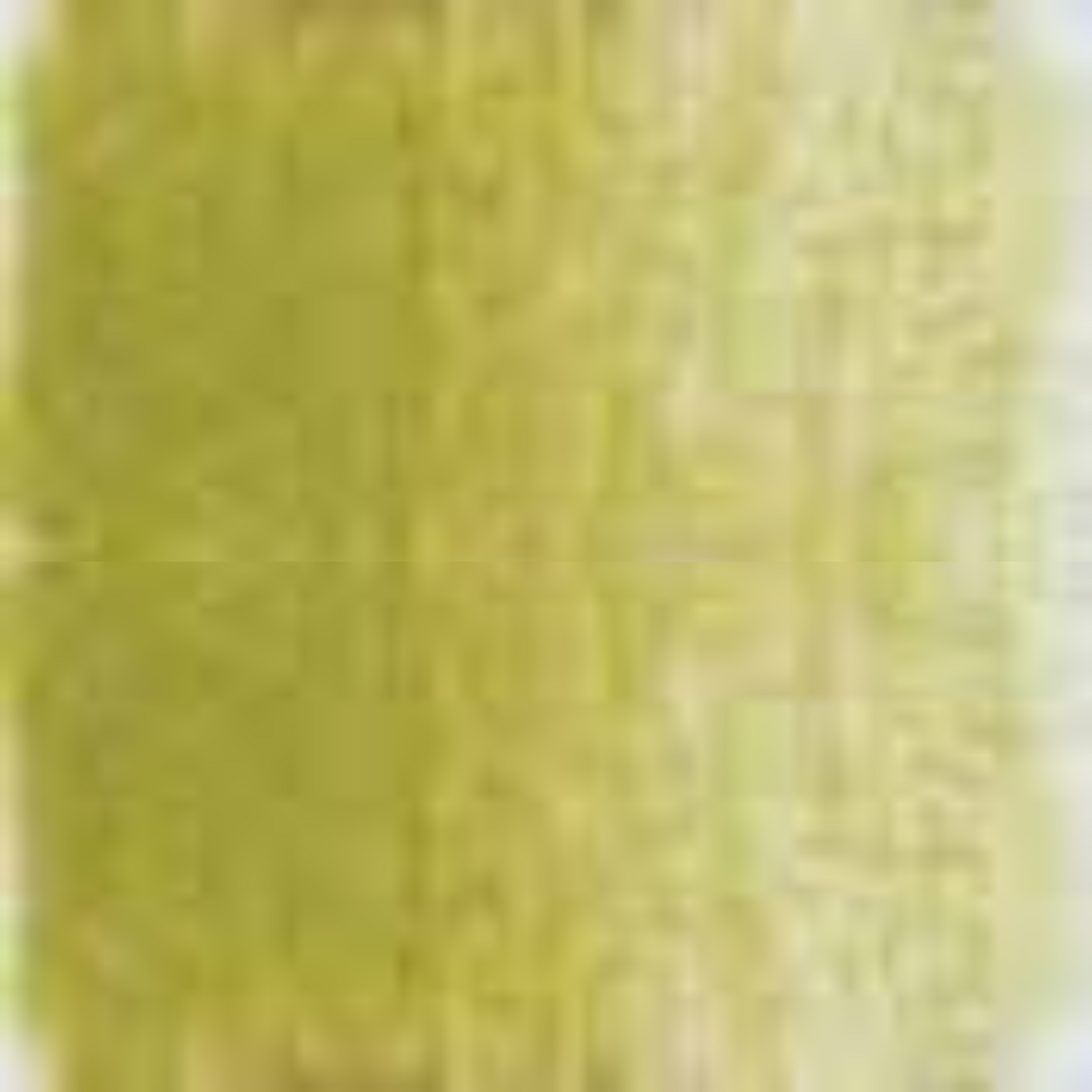 Olive Yellow Holbein Artists' Colored Pencils