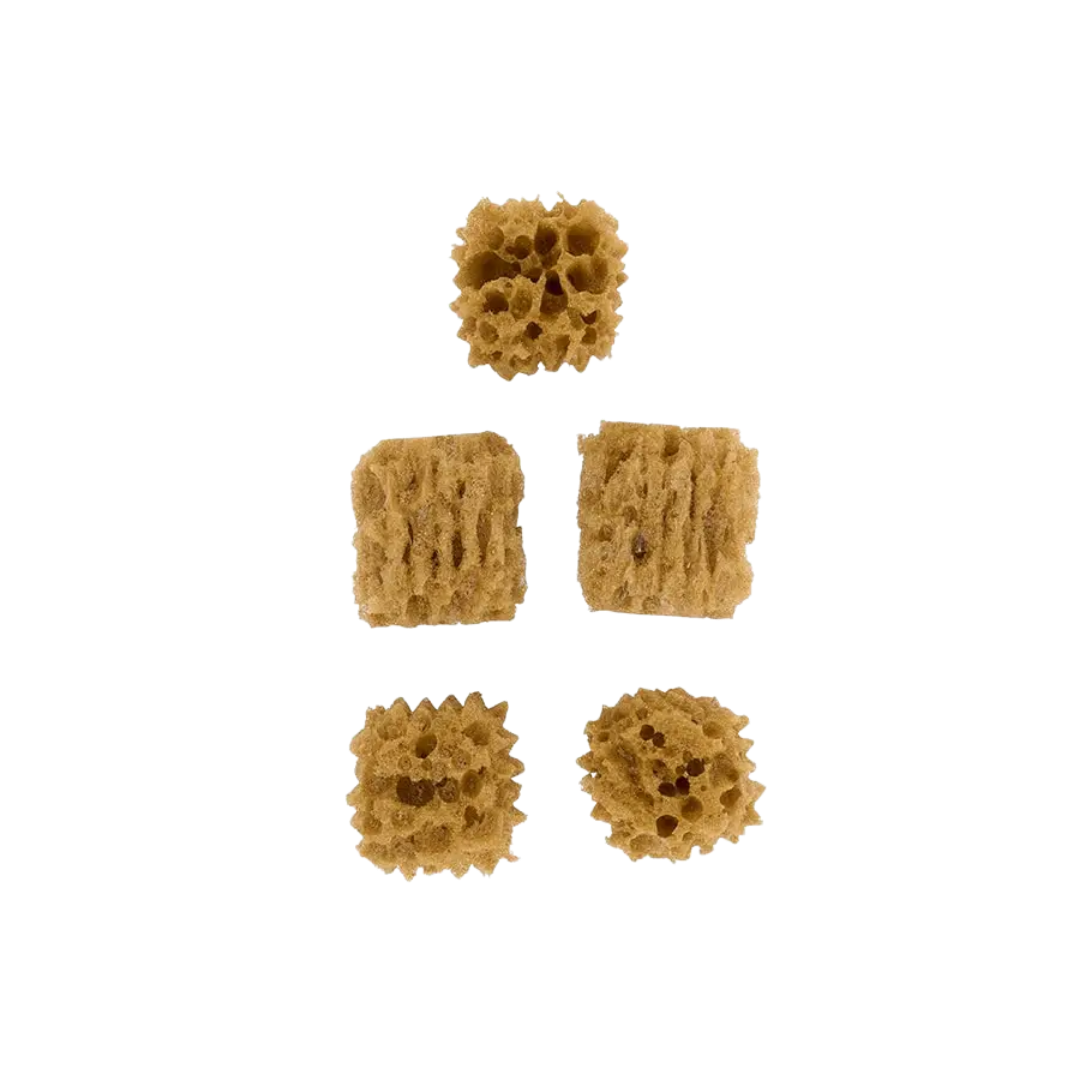 Folkart ® 5 pc Sponge Value Pack
