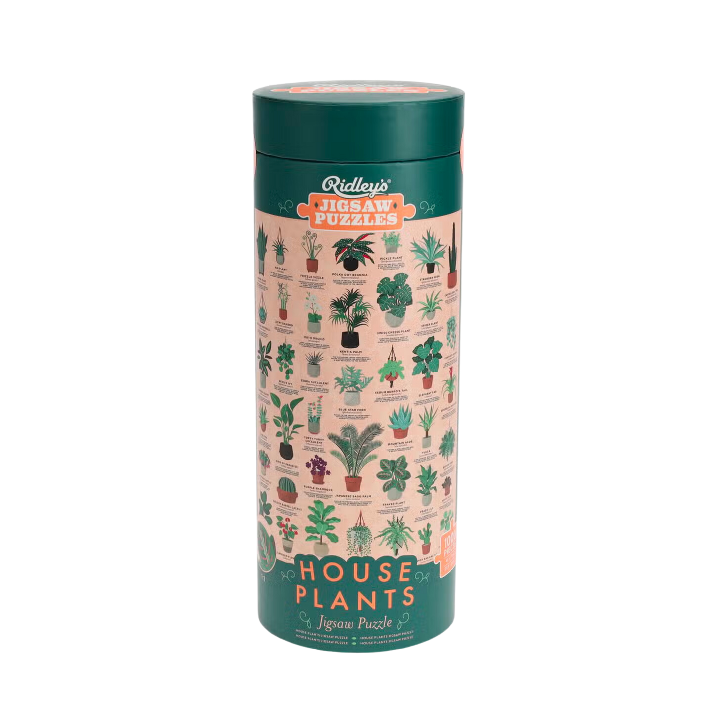 House Plants 1000 pc Jigsaw Puzzle