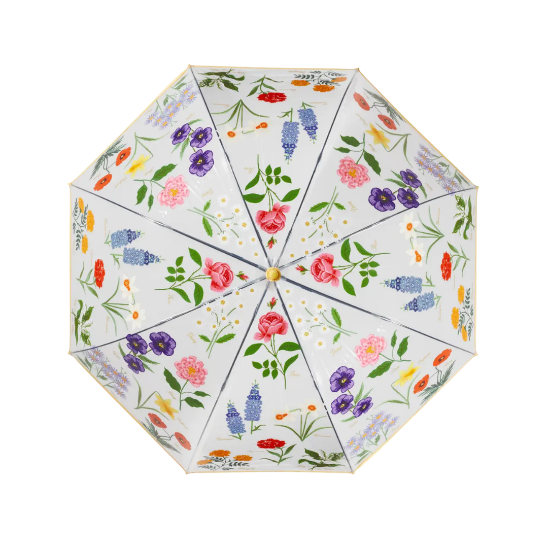 Garden Study Clear Umbrella