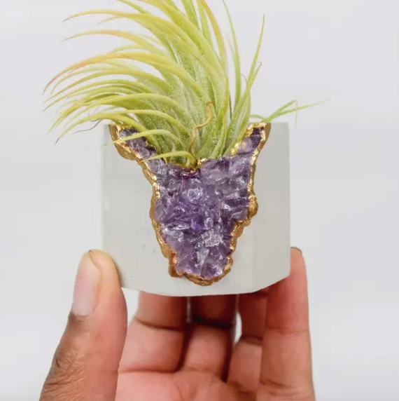 Amethyst Geode Vessel with Air Plant