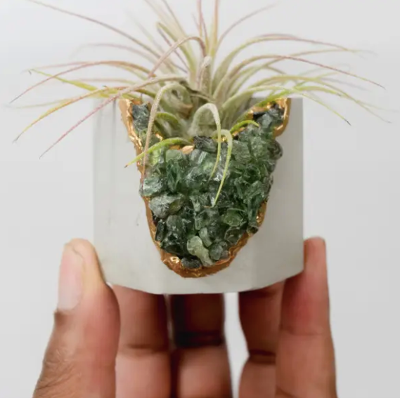 Green Apatite Geode Vessel and Air Plant