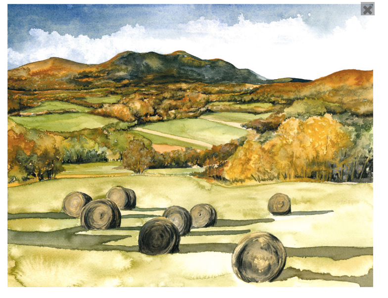Vermont Hayfield 5x7 Art Print