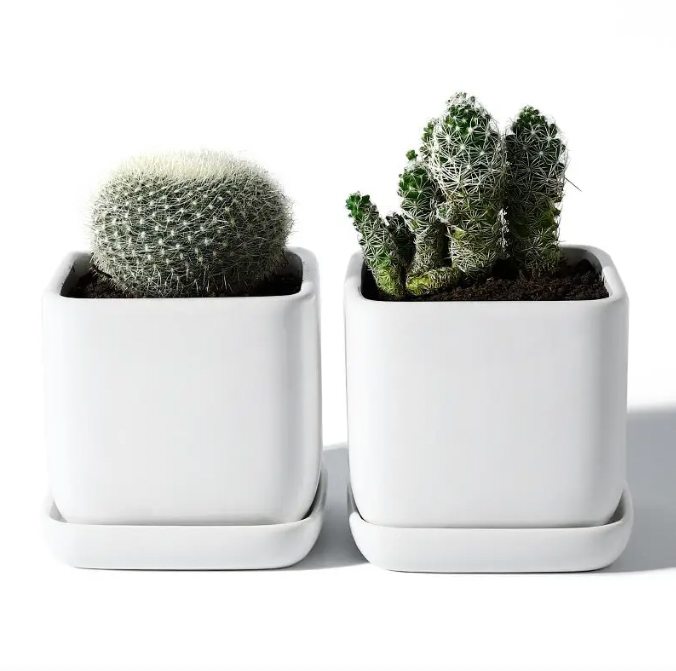 3.5 Inch Square Succulent Pot