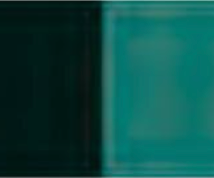 Permanent Green Deep Holbein Artists' Oil Color - 20ml