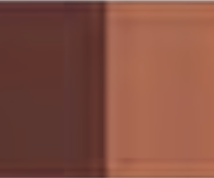 Burnt Sienna Holbein Artists' Oil Color - 20ml