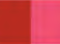 Carmine Holbein Artists' Oil Color - 20ml