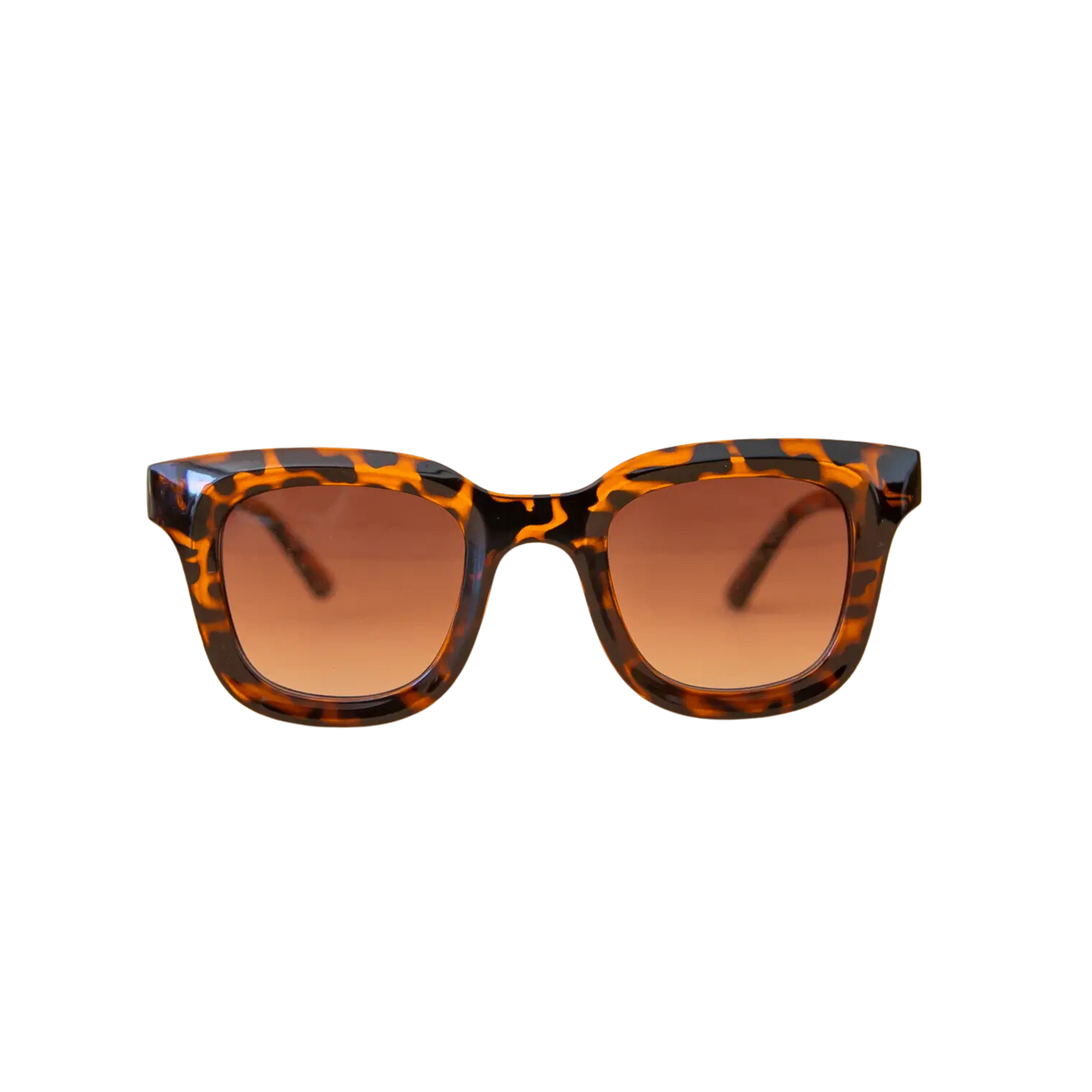 Charlie Sunglasses - Tortoise