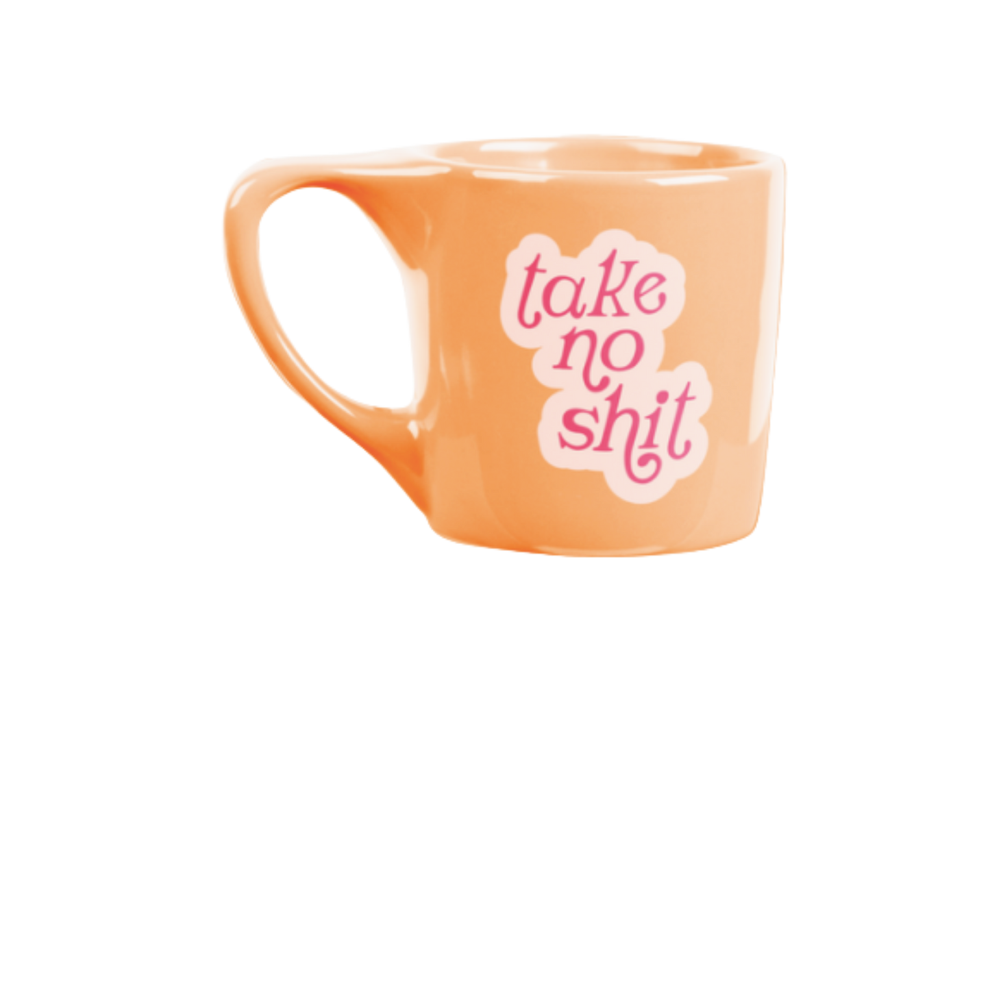 Take No Shit Mug