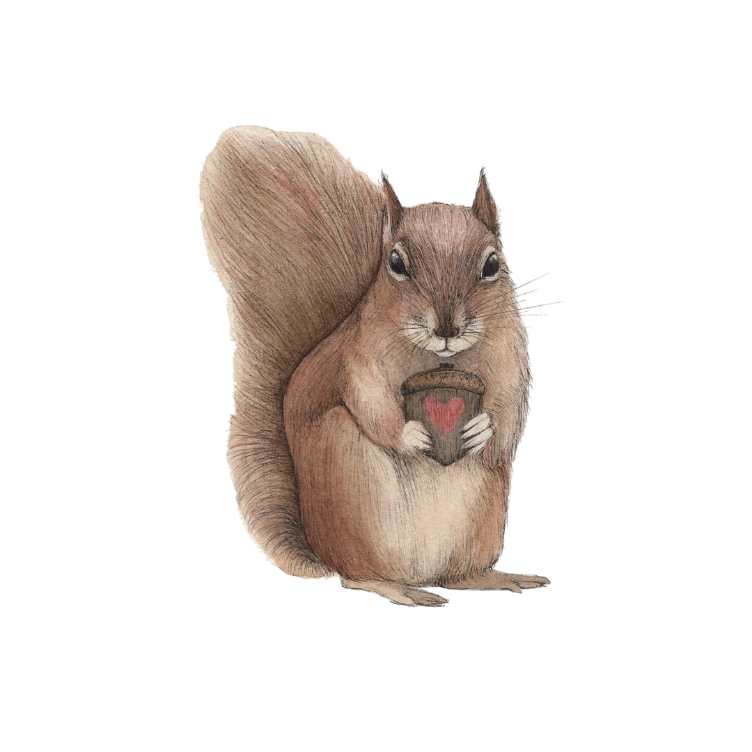 Nutty Love 5"x7" Print
