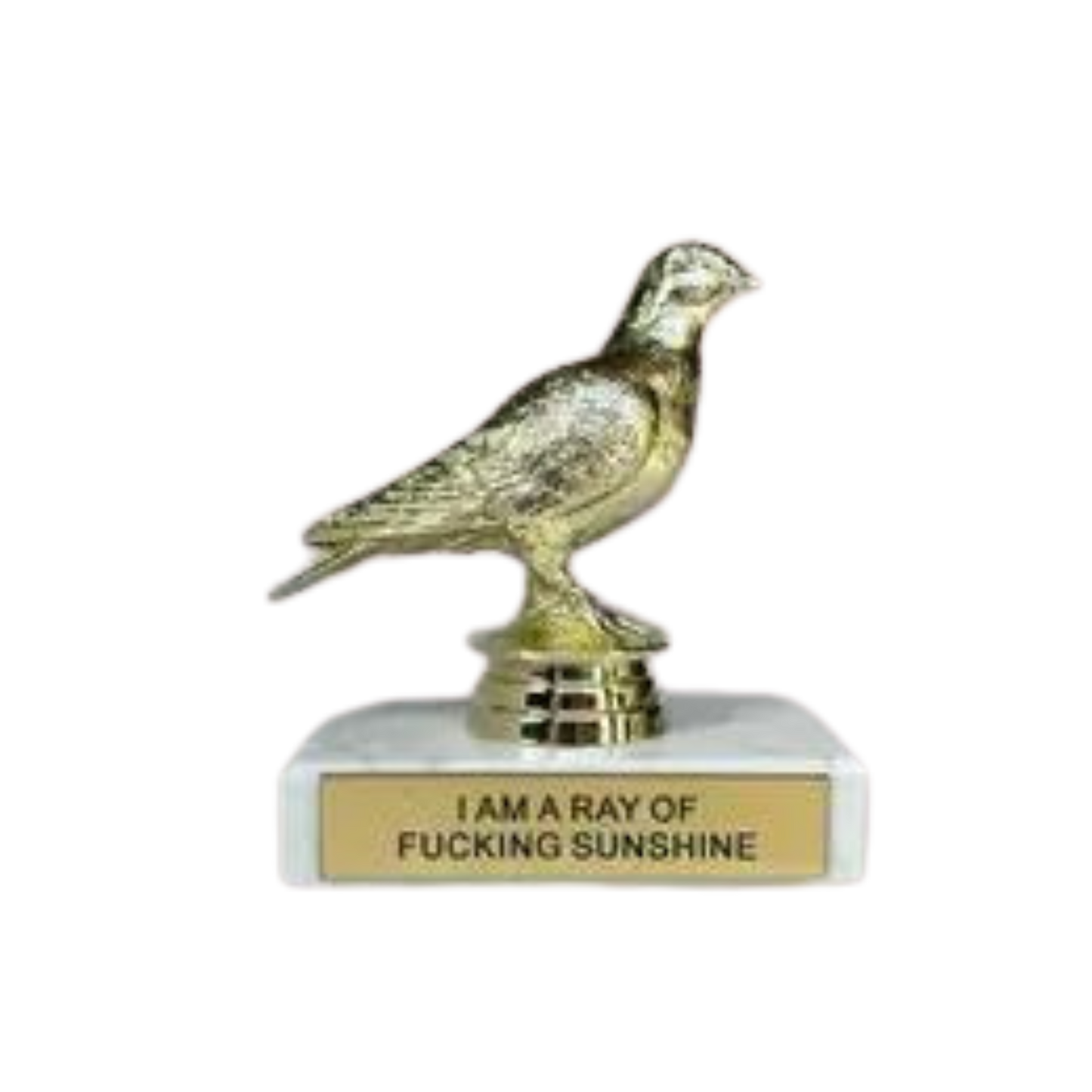 I Am a Ray of Fucking Sunshine Participation Trophy