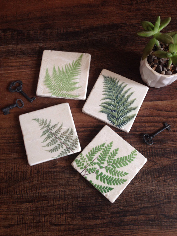 Fern Coasters // Set of 4