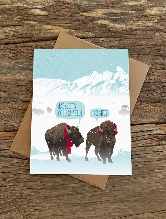 Baby It's Cold Bison Card