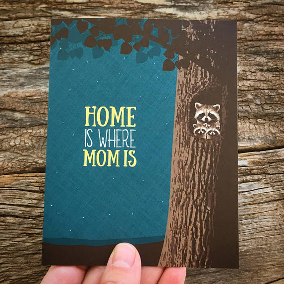 Momma Raccoon Home