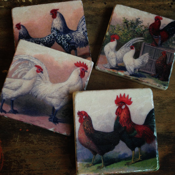 Chickens Coasters // Set of 4