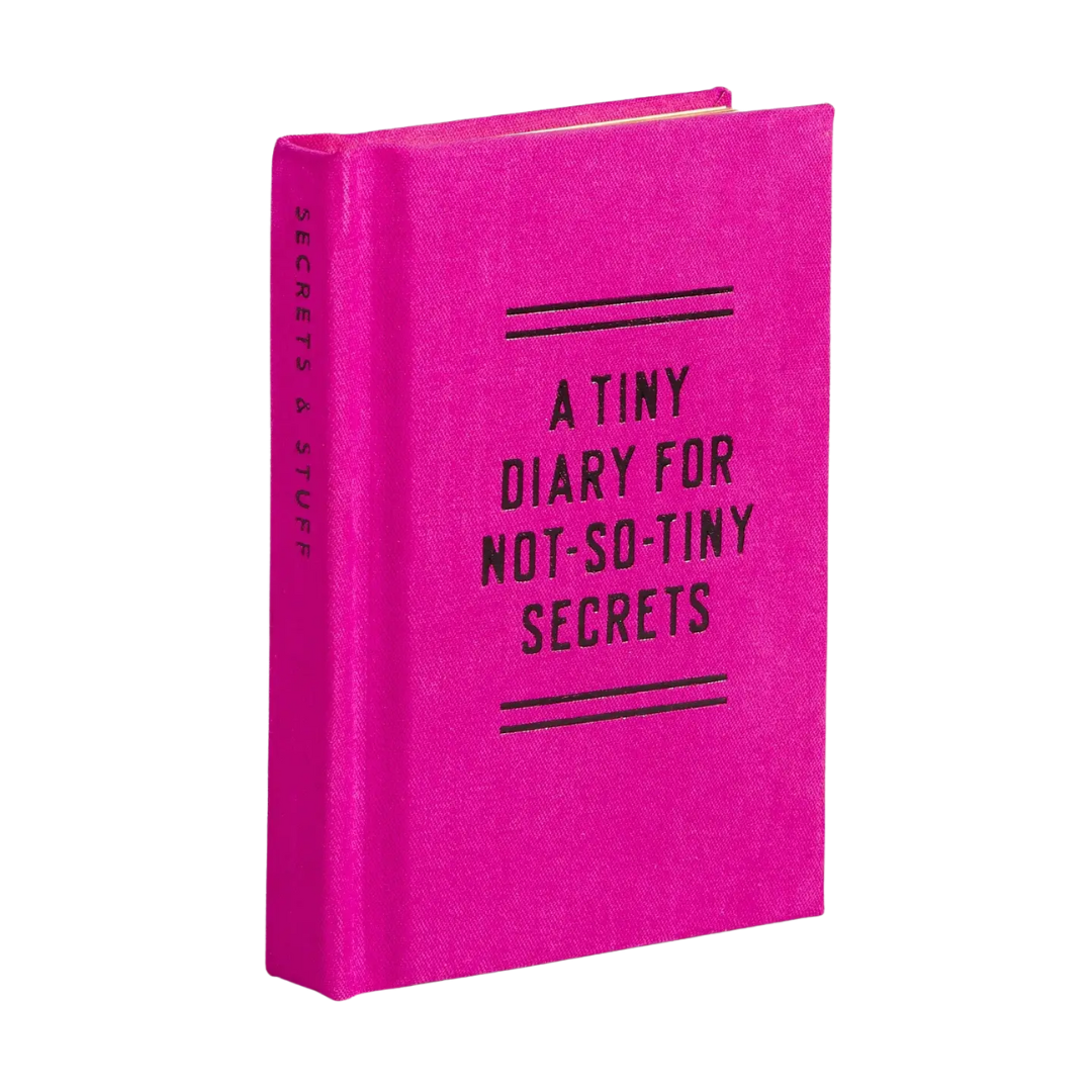 Tiny Diary For Not So Tiny Secrets
