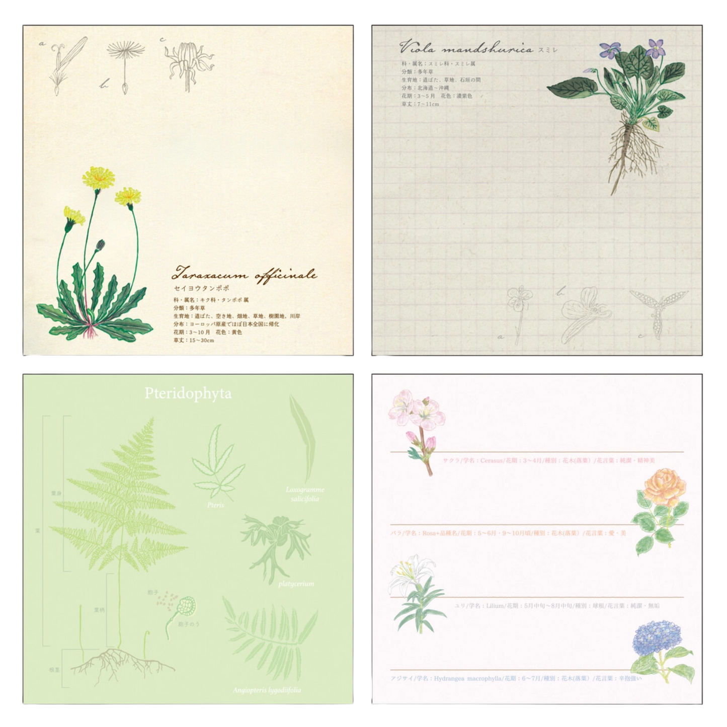 Green Flash Square Memo Pad, Botany