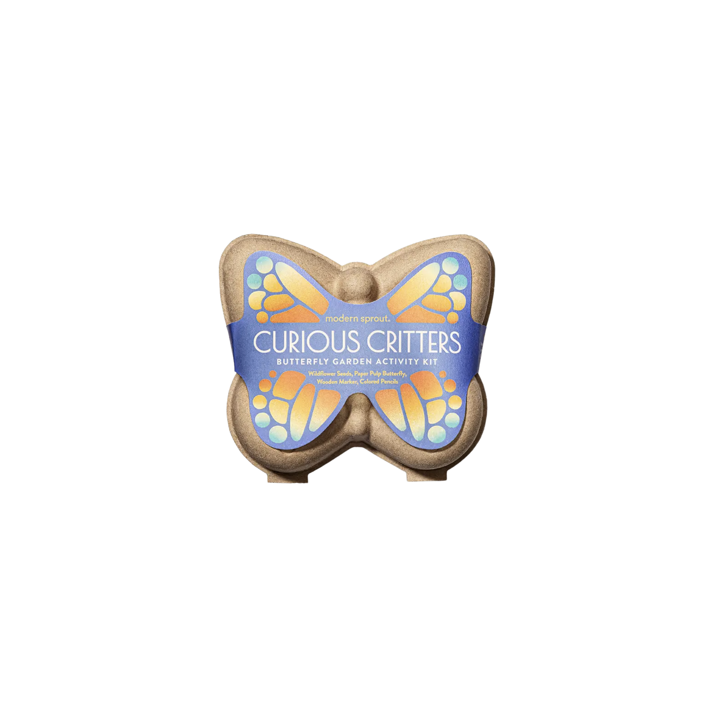 Curious Critters Butterfly Activity Kit