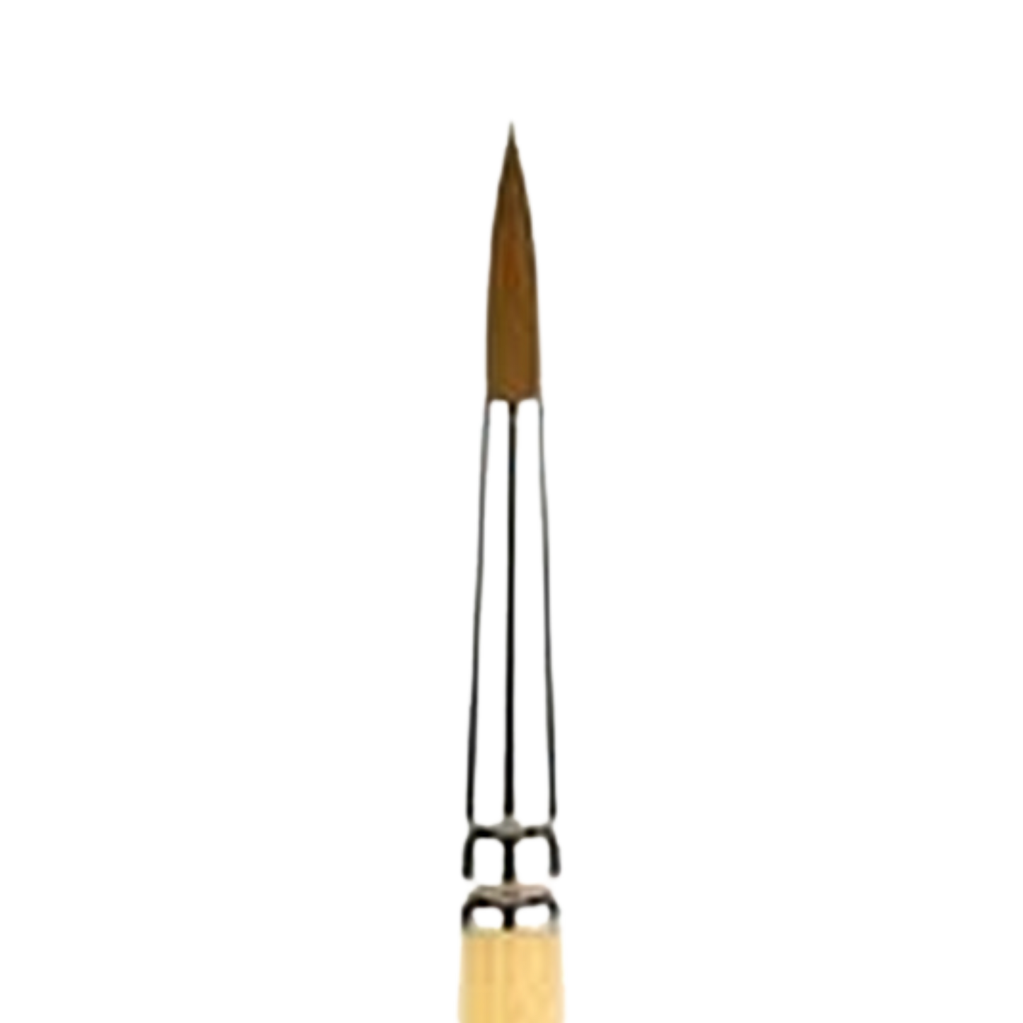 Snap Gold Taklon Short Handle Round 4