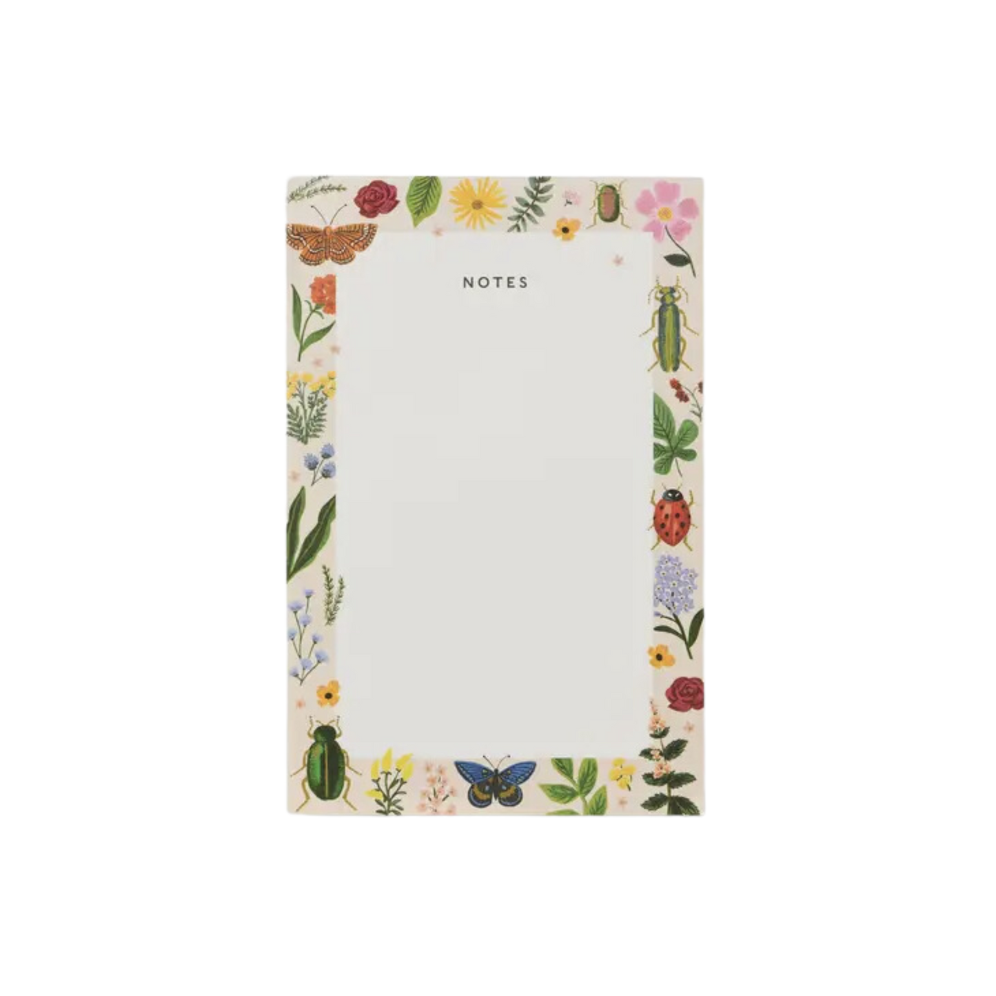 Curio Notepad
