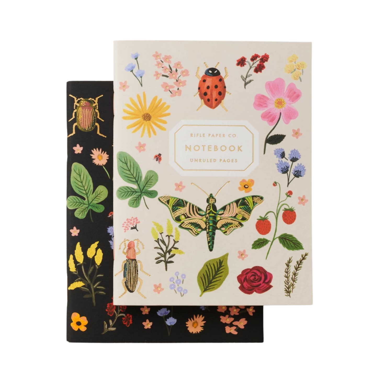 Pair of 2 Curio Pocket Notebook