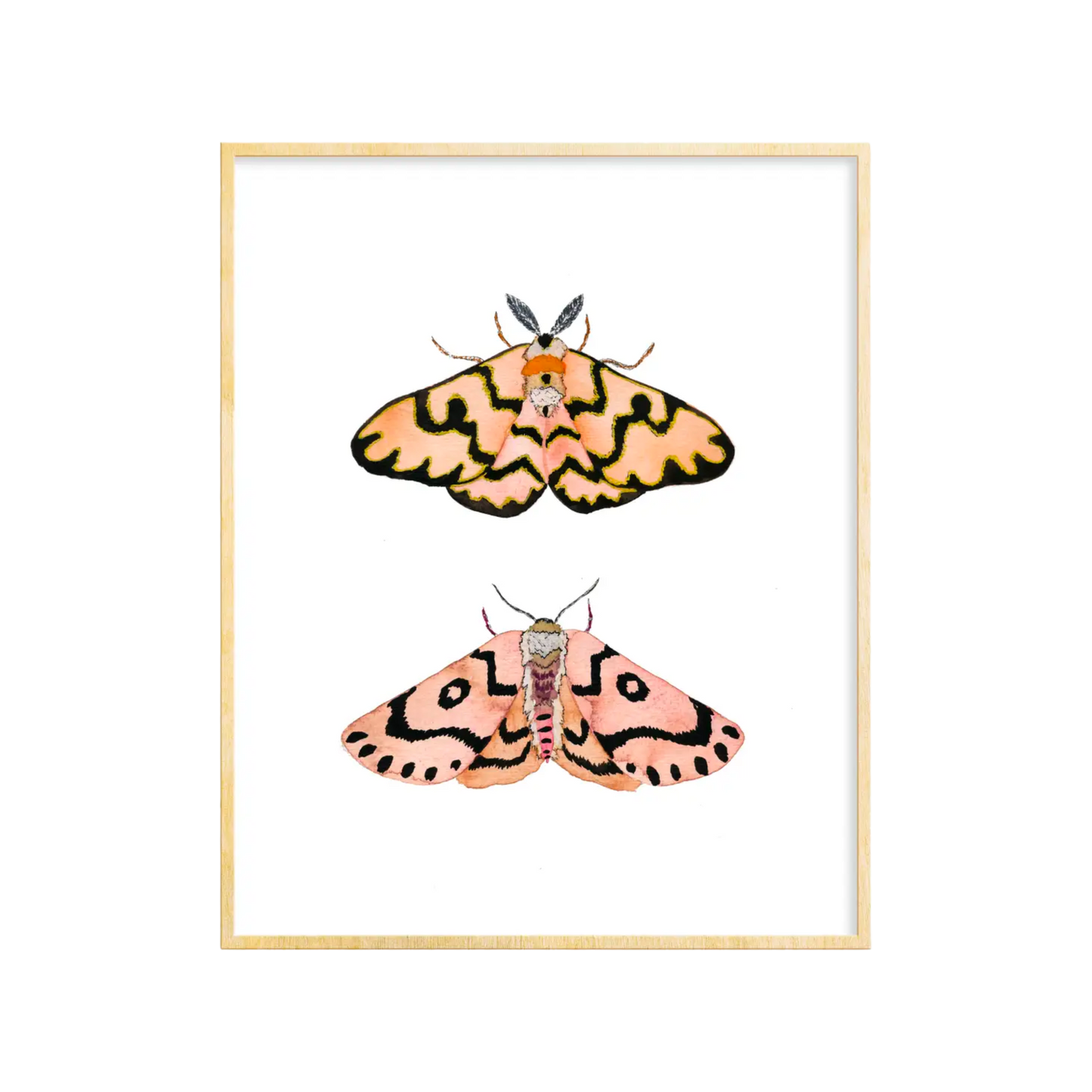 2 Moths Art Print 5x7