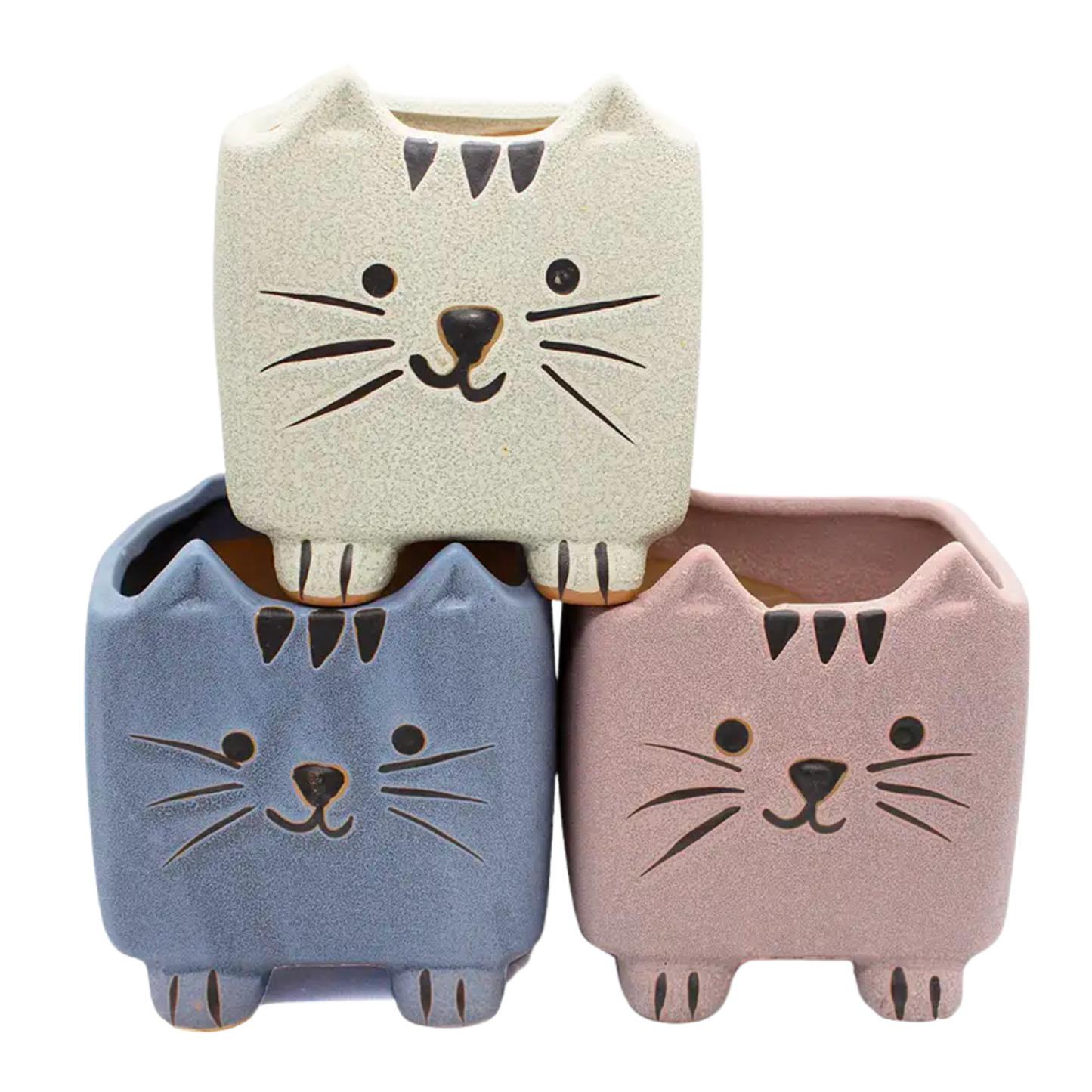 Super Cute Cartoon Cat