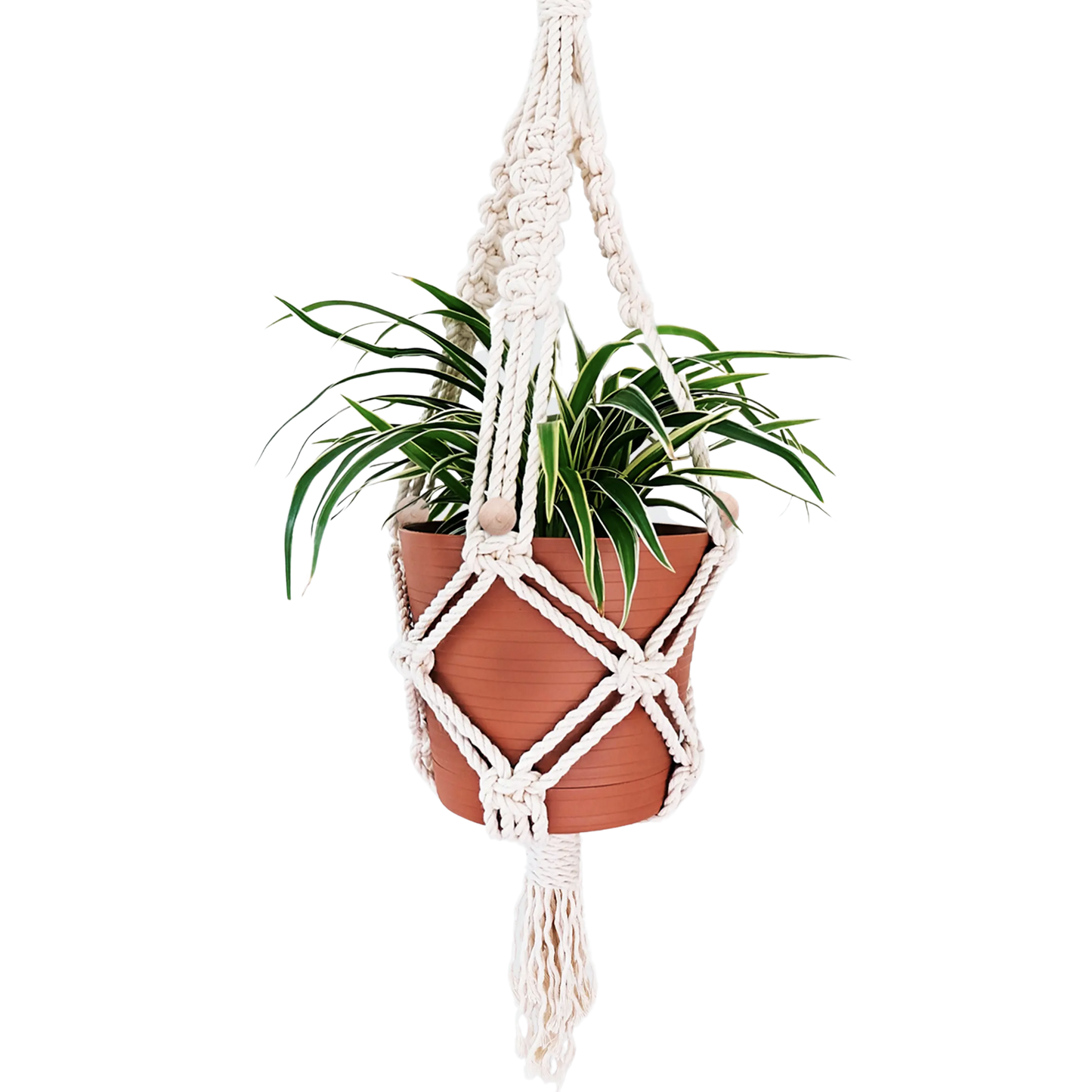 DIY Macrame Kit