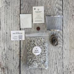 ECO PLANTER - ORGANIC PARSLEY