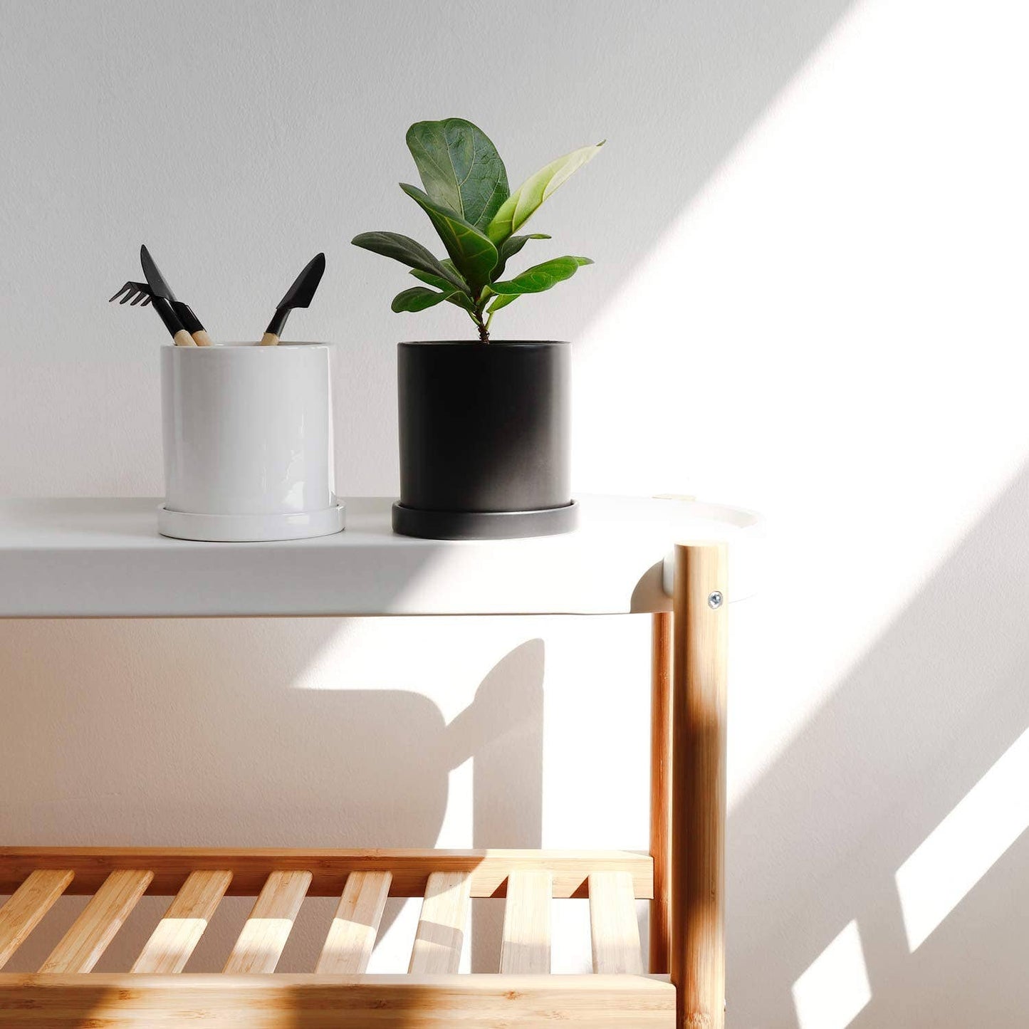 3.8 Inch Black Cylinder Plant Pot with Saucer