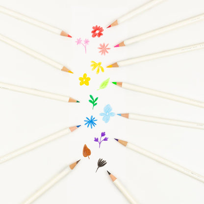 Irojiten Colored Pencil Set - Vivid