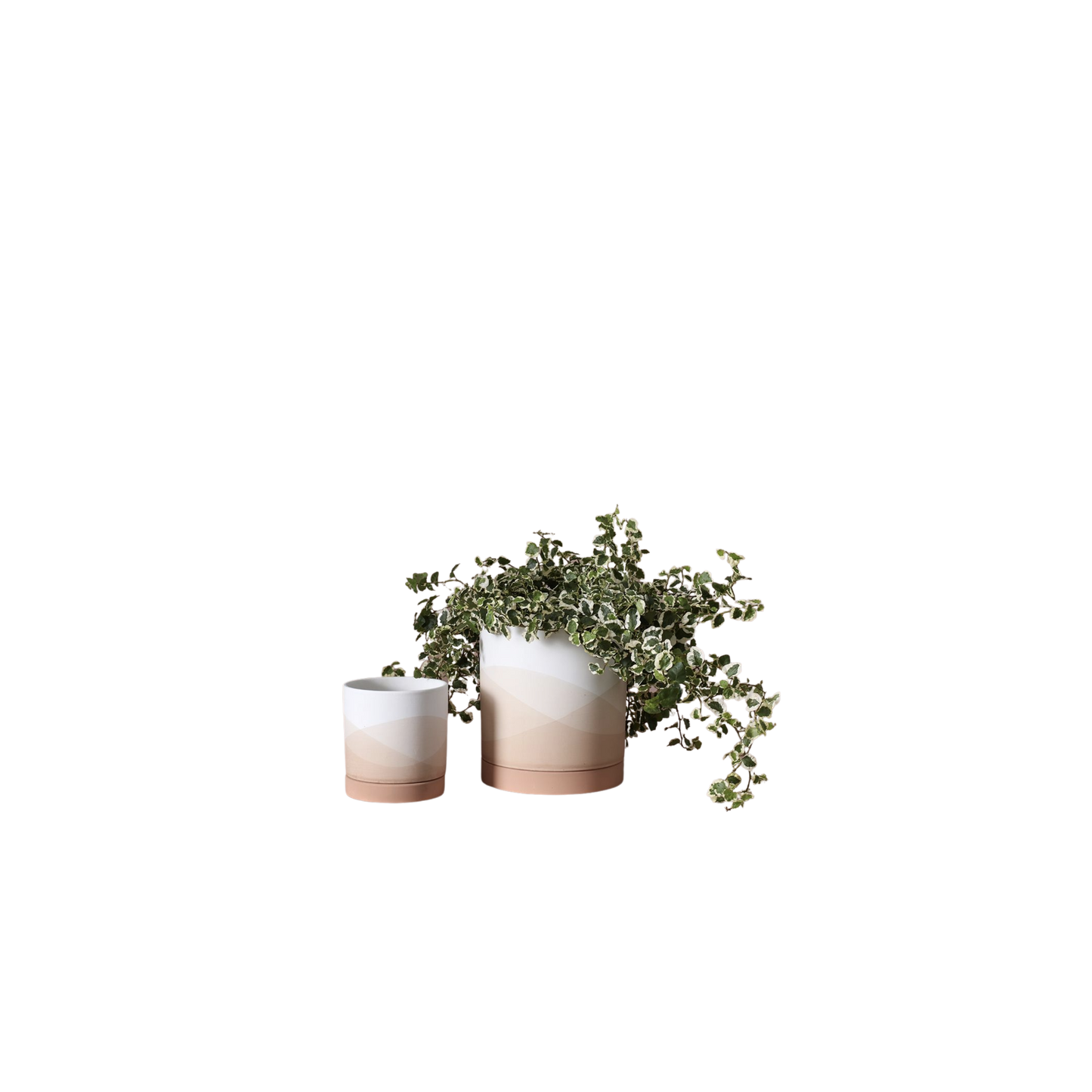 Terracotta Sunrise Pot
