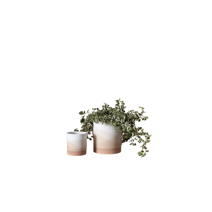Terracotta Sunrise Pot
