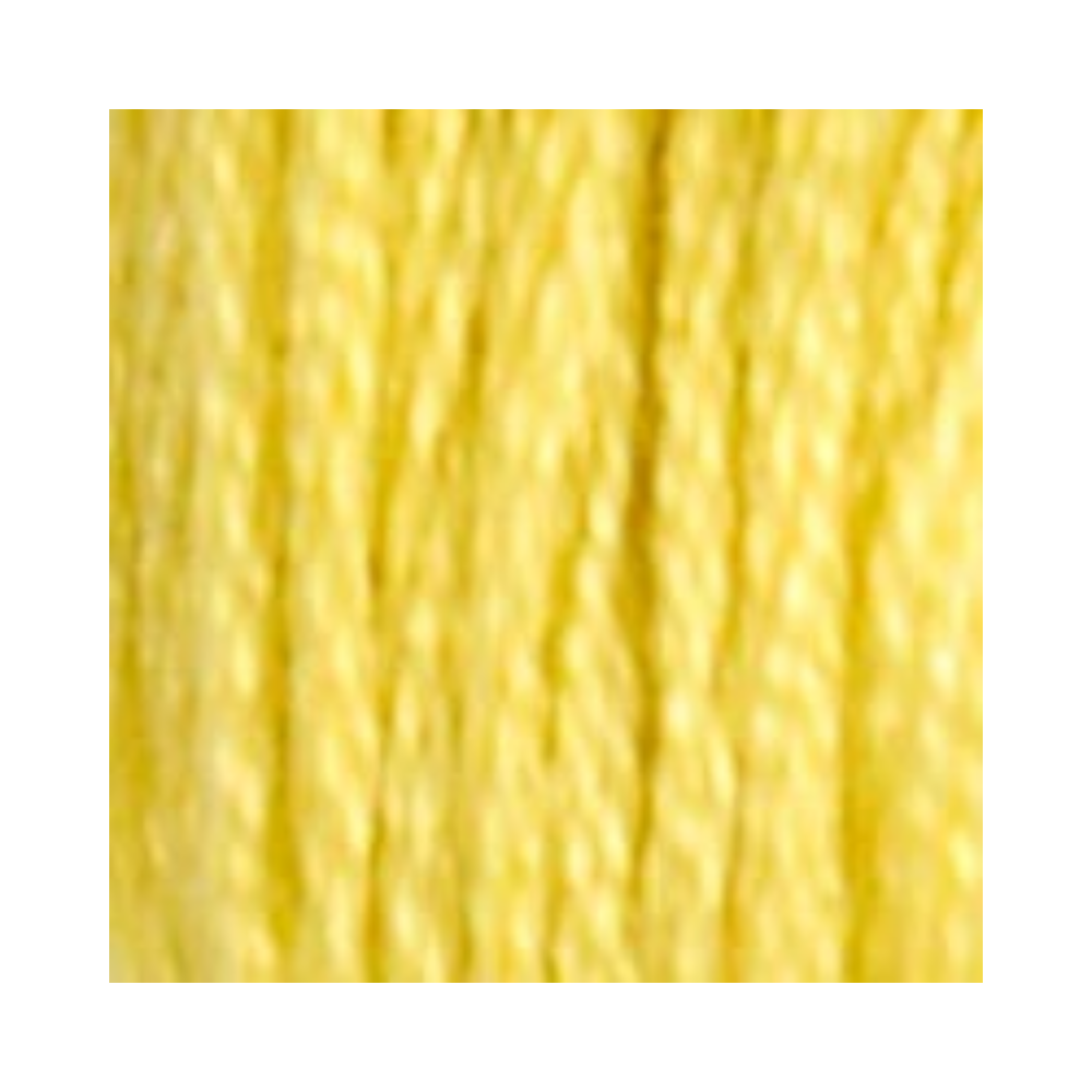 DMC Six-Strand Embroidery Floss