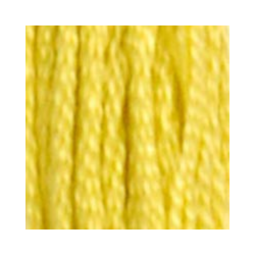 DMC Six-Strand Embroidery Floss