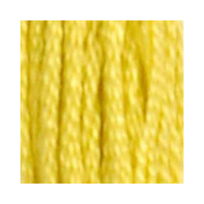 DMC Six-Strand Embroidery Floss