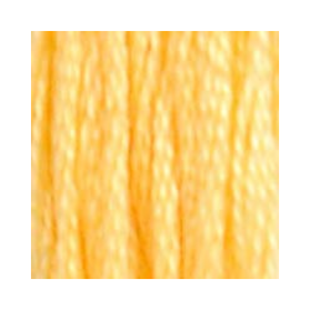 DMC Six-Strand Embroidery Floss