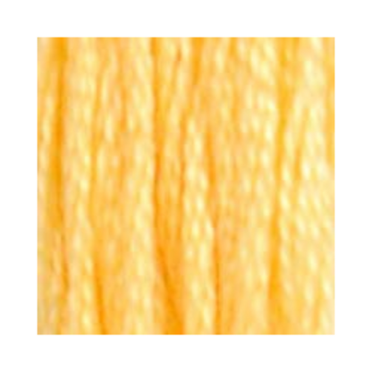 DMC Six-Strand Embroidery Floss