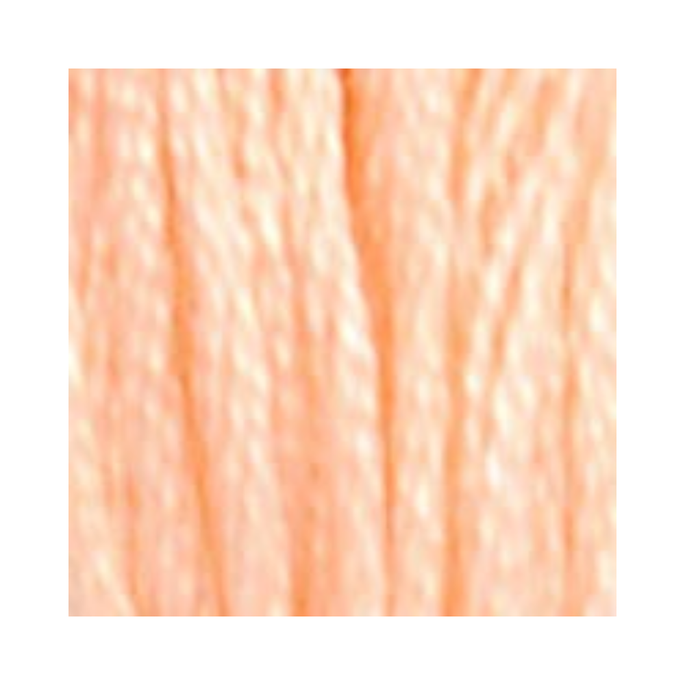 DMC Six-Strand Embroidery Floss