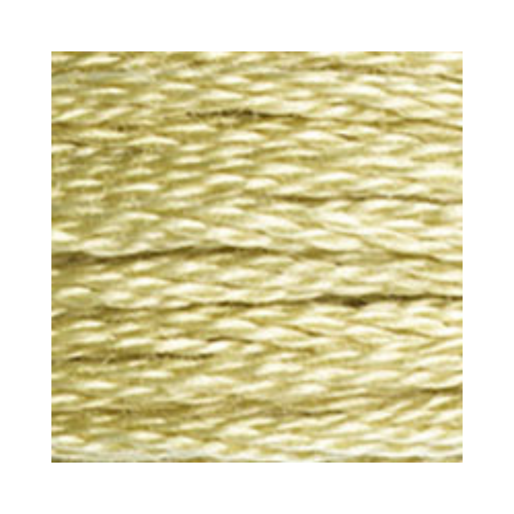 DMC Six-Strand Embroidery Floss