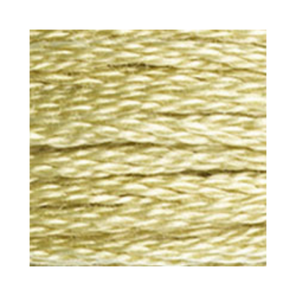 DMC Six-Strand Embroidery Floss