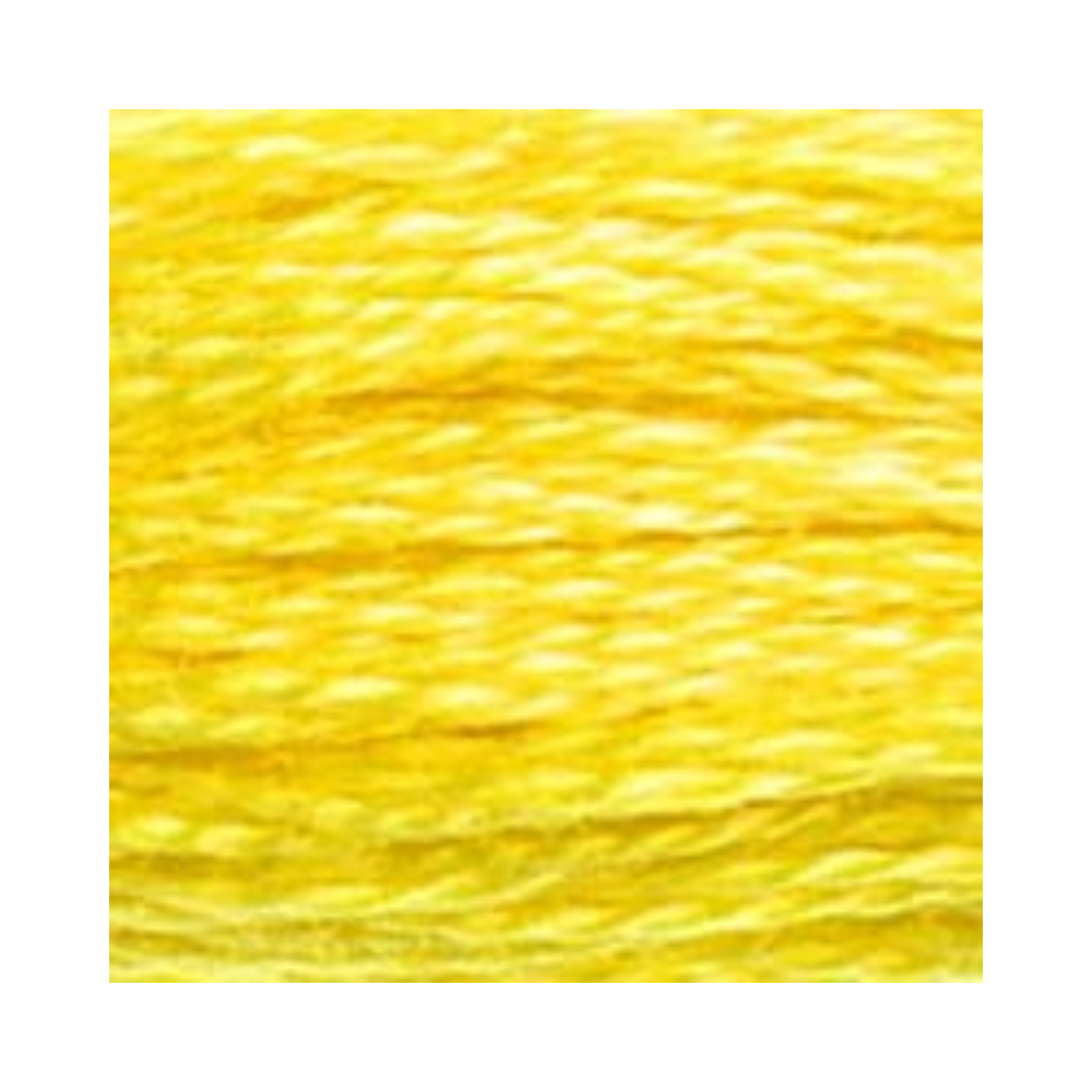 DMC Six-Strand Embroidery Floss