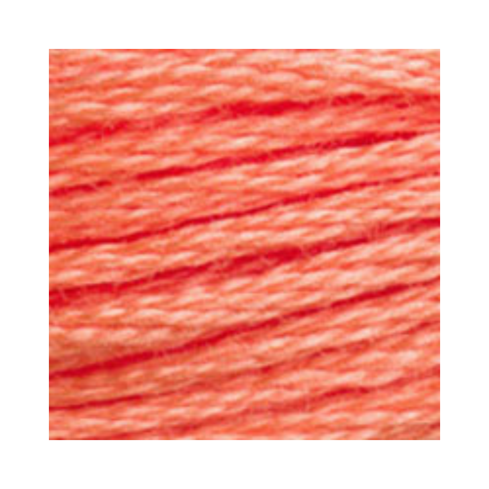 DMC Six-Strand Embroidery Floss