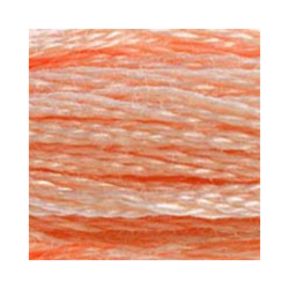 DMC Six-Strand Embroidery Floss
