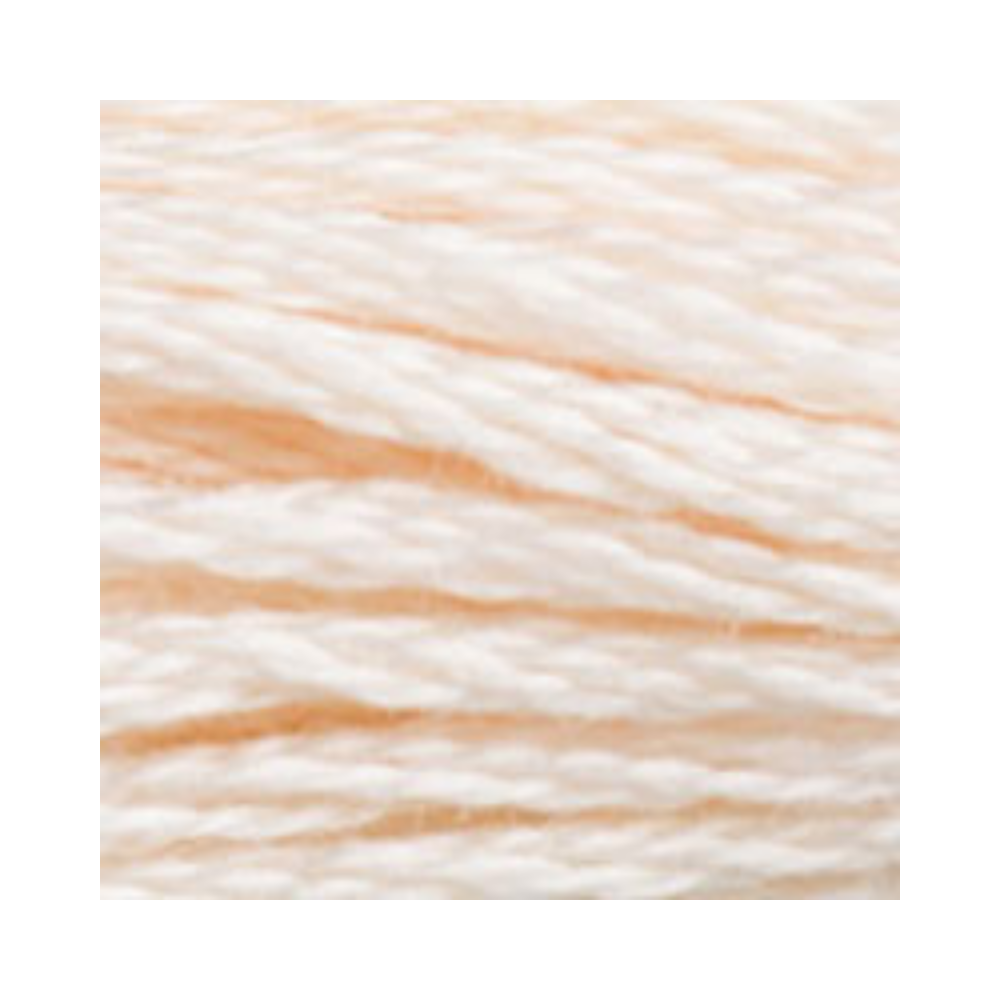 DMC Six-Strand Embroidery Floss
