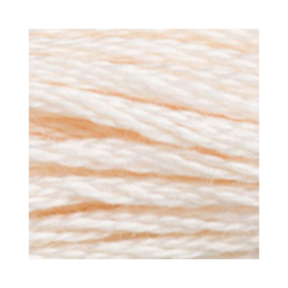 DMC Six-Strand Embroidery Floss