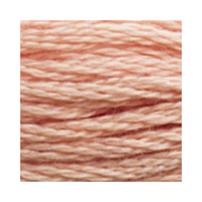 DMC Six-Strand Embroidery Floss