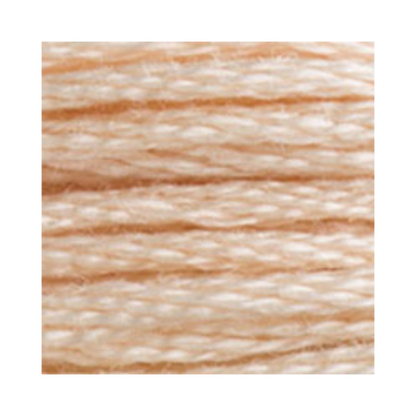DMC Six-Strand Embroidery Floss